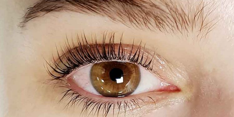 مراحل انجام لمینت مژه