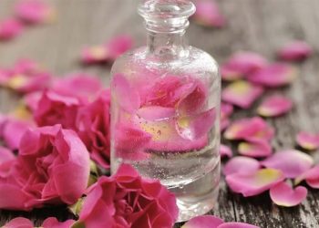  خواص گلاب برای پوست و آبرسانی به پوست با گلاب