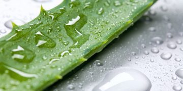 بهترین روش استفاده از آلوئه ورا برای پوست و مو 