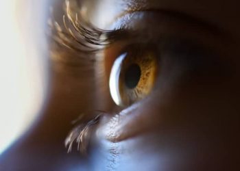 تمام روش های درمان خانگی برای پرپشت شدن و تقویت مژه