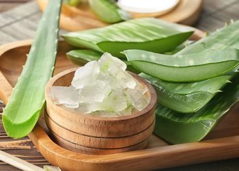 خواص شگفت انگیز آلوئه ورا برای مو