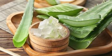 خواص شگفت انگیز آلوئه ورا برای مو