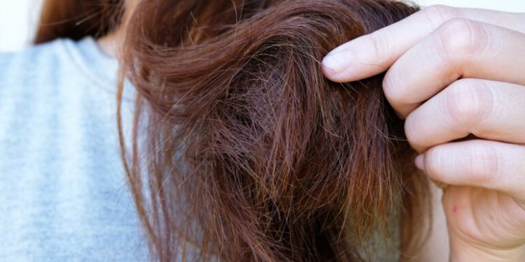 راه های احیای موهای آسیب دیده