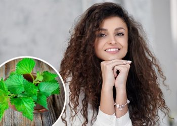 خواص گزنه برای ریزش مو