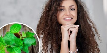 خواص گزنه برای ریزش مو