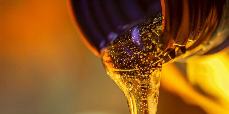 طلا تراپی چیست؟ گلدتراپی، تکنیک لاکچری برای تقویت پوست و مو