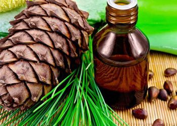 خواص روغن چوب سدر در درمان بیماری ها و حفظ سلامت پوست و مو