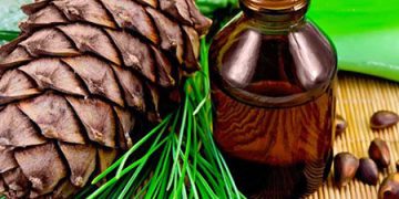 خواص روغن چوب سدر در درمان بیماری ها و حفظ سلامت پوست و مو