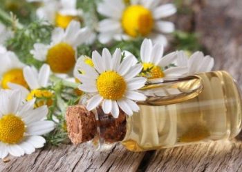 بهترین روغن های گیاهی برای ماساژ پوست صورت و طرز تهیه آنها