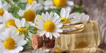 بهترین روغن های گیاهی برای ماساژ پوست صورت و طرز تهیه آنها