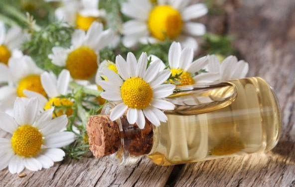 بهترین روغن های گیاهی برای ماساژ پوست صورت و طرز تهیه آنها